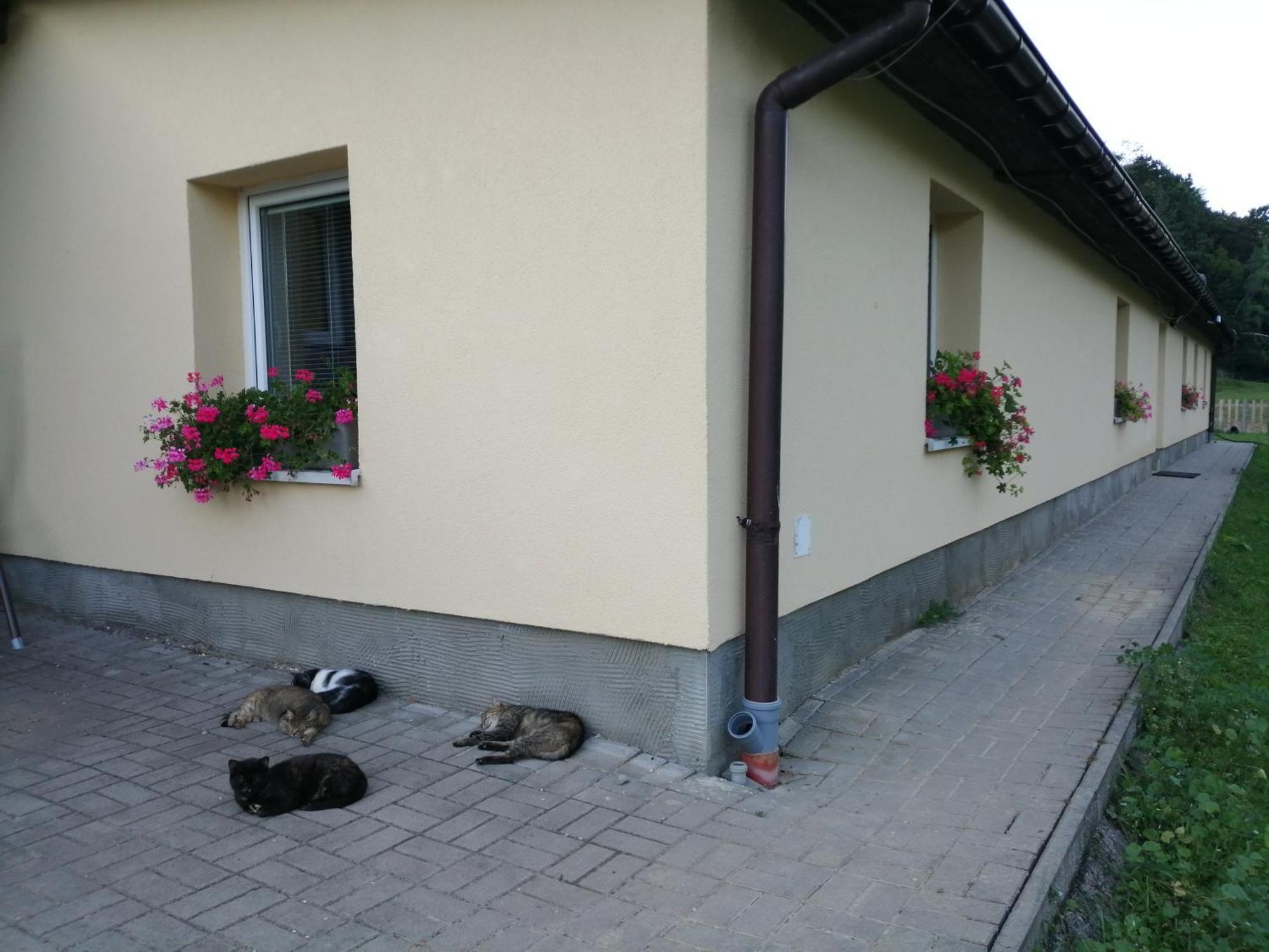 Oddychovy Pobyt Na Rodinnej Farme Matiaska Exterior foto